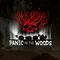 Panic in the Woods's game picture on Twitch