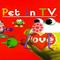 Pet in TV's game picture on Twitch