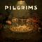 Pilgrims's game picture on Twitch