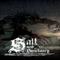 Salt and Sanctuary's game picture on Twitch