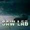 Saw Lab's game picture on Twitch