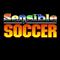 Sensible Soccer's game picture on Twitch