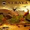 Straya's game picture on Twitch