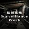 Surveillance Work's game picture on Twitch
