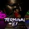 Terminal 81's game picture on Twitch