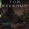 Tor Eternum's game picture on Twitch