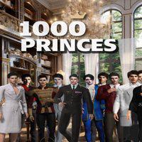 1000 Princes' twitch picture