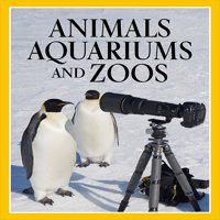 Animals, Aquariums, and Zoos' twitch picture