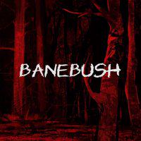 Banebush' twitch picture