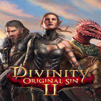 Divinity: Original Sin II' twitch picture