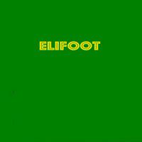 Elifoot' twitch picture