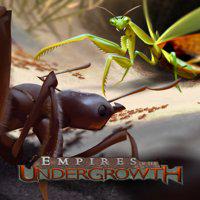 Empires of the Undergrowth' twitch picture