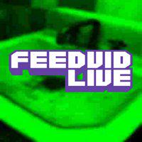 FeedVid Live' twitch picture