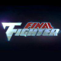 Final Fighter' twitch picture