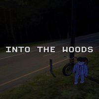 INTO THE WOODS' twitch picture