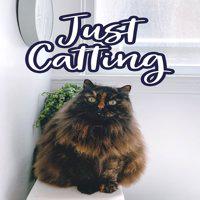 Just Catting' twitch picture