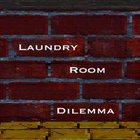 Laundry Room Dilemma' twitch picture