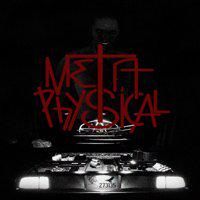 MetaPhysical' twitch picture