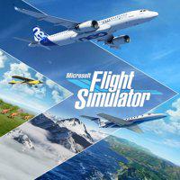 Microsoft Flight Simulator' twitch picture