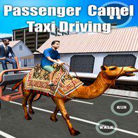 Passenger Camel Taxi Driving' twitch picture