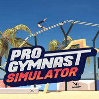 Pro Gymnast Simulator' twitch picture