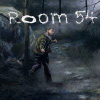 Room 54' twitch picture