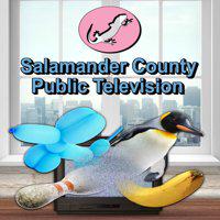 Salamander County Public Television' twitch picture