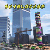 Skyblocker' twitch picture