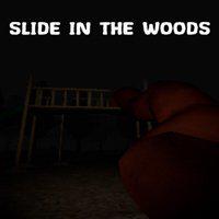 Slide in the Woods' twitch picture