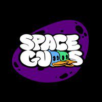Spacegulls' twitch picture