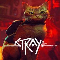 Stray' twitch picture