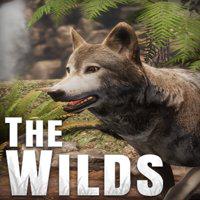 The WILDS' twitch picture