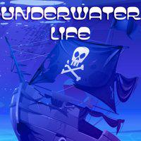 Underwater Life' twitch picture