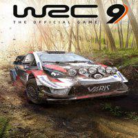 WRC 9' twitch picture