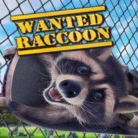 Wanted Raccoon' twitch picture