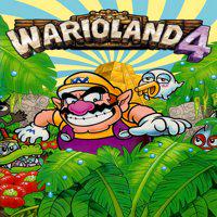 Wario Land 4' twitch picture